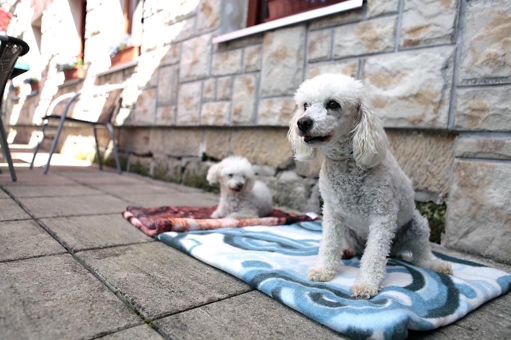 Pension U Stehliku Ruzova Bagian luar foto